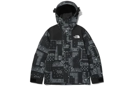 Унисекс-куртка The North Face Novelty Eco GTX, черная