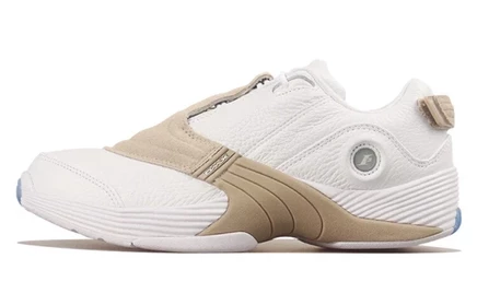 Мужские кроссовки Reebok Answer 5 Low, бежевые