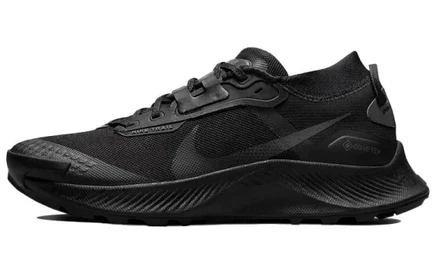 Женские трейловые кроссовки Nike Pegasus Trail 3 GTX