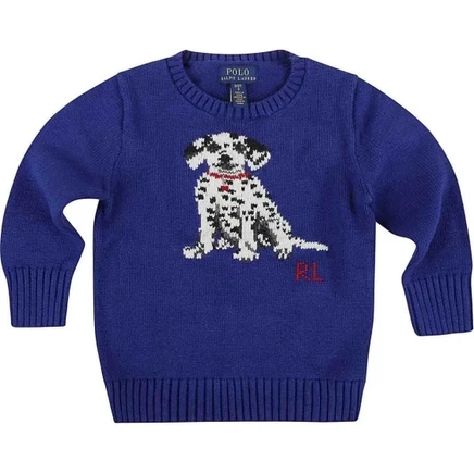 Свитер для мальчиков Polo Ralph Lauren, синий