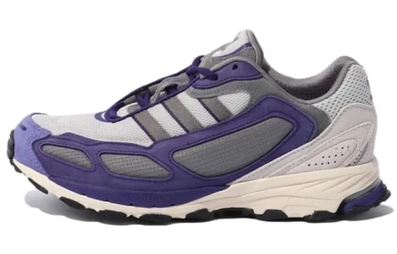 Мужские кроссовки Adidas Shadowturf, серо-фиолетовые
