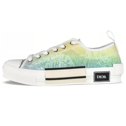 DIOR And Shawn B23 Low Top default