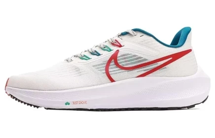 Мужские кроссовки Nike Air Zoom Pegasus 39, многоцветные