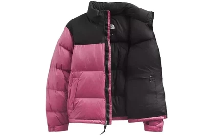 Мужской пуховик The North Face Logo Print, разноцветный