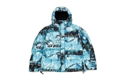 Унисекс-пуховик The North Face ICON FW22, синий