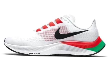 Женские кроссовки Nike Air Zoom Pegasus 37 Kenya