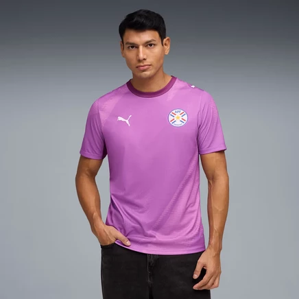 Мужская вратарская футболка Puma x Paraguay, ягодно-сливовая