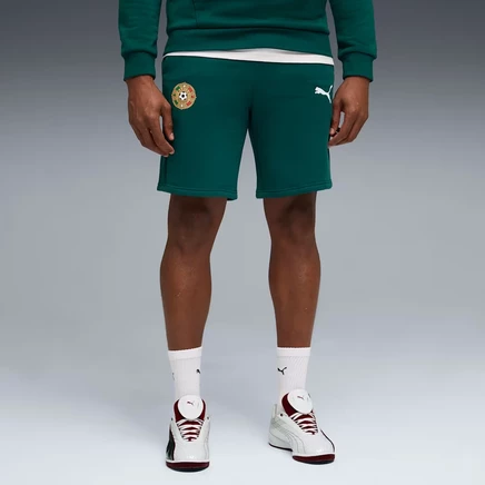 Мужские футбольные шорты Puma Fanpack Mexico из флиса, зеленые с белым