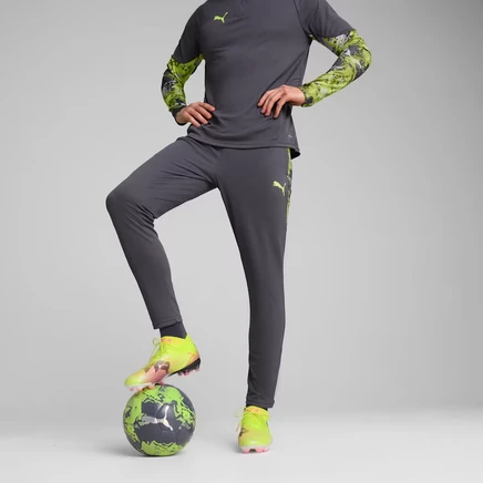 Мужские футбольные штаны Puma IndividualCUP узкого кроя dryCELL, серые
