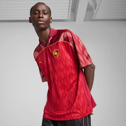 Мужская футболка Puma x Harry Potter, темно-бордовая