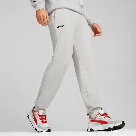 Мужские штаны Puma Formula 1, пепельно-серые