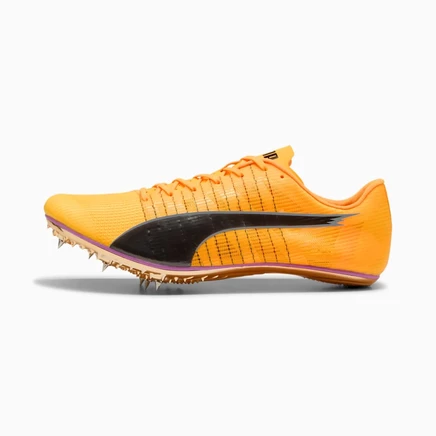 Беговые шиповки Puma evoSPEED Brush 6, многоцветные