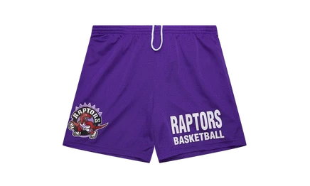 Шорты Mitchell & Ness Gameday Mesh 7″ NBA Raptors