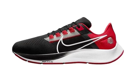 Обувь Nike Air Zoom Pegasus 38 «Ohio State»