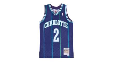 Мужская майка Mitchell & Ness Swingman Charlotte Hornets 94