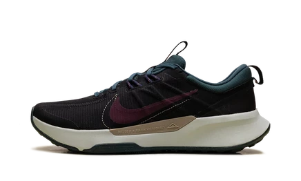 Мужские кроссовки Nike Juniper Trail 2, многоцветные