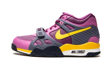 Кроссовки Nike Air Trainer 3, Viotech