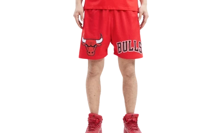 Шорты Pro Standard NBA Chicago Bulls Pro Team, красные