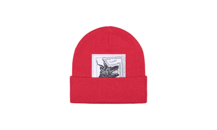 Шапка бини Supreme The North Face FW24, красная