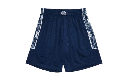 Шорты Mitchell & Ness Georgetown University 1995/96, синие