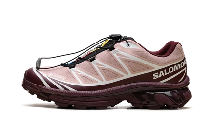 Кроссовки Salomon XT-6 GTX «Mahogany Rose Tawny Port»
