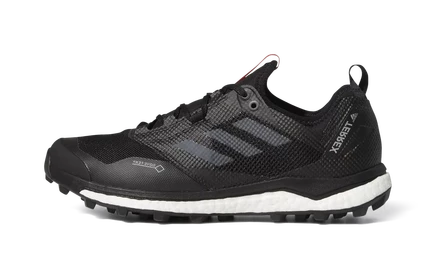 Кроссовки Adidas Terrex Agravic XT GTX
