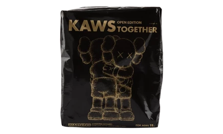 Аксессуар KAWS Kaws Together, черный