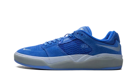 Кроссовки Nike SB Ishod Wair DC7232-401