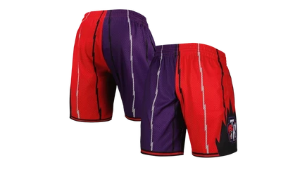Мужские шорты Mitchell & Ness Swingman Raptors 1998