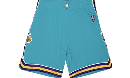 Шорты Mitchell & Ness Authentic NBA Charlotte Hornets 05