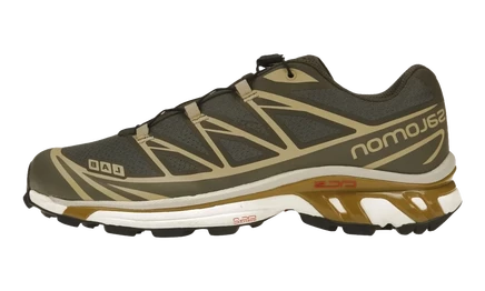 Кроссовки Salomon XT-6, темно-оливковые/серые/тускло-золотые