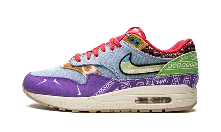 Кроссовки Nike Air Max 1 SP «Concepts Wild Violet»