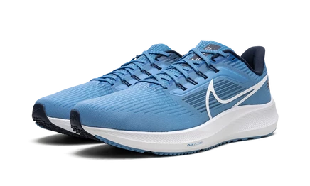 Кроссовки Nike Air Zoom Pegasus 39 NFL «Tennessee Titans»