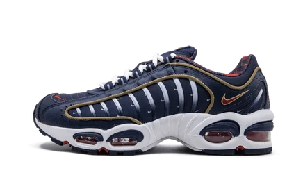 Кроссовки Nike Air Max Tailwind 4 CK0849 400 «USA»