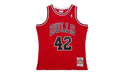 Джерси Mitchell & Ness Bulls 1999 Elton Brand