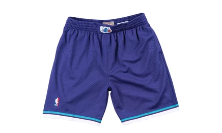 Шорты mitchell & ness nba authentic alternate hornets 94–95
