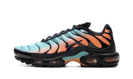 Кроссовки Nike Air Max Plus DM0032 022, South Beach