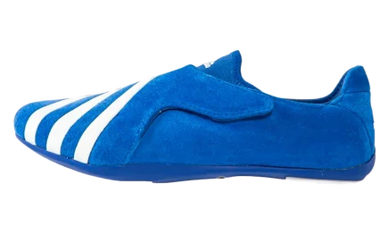 Мужские кеды Adidas Vario Flat Earther, синие