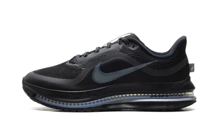Кроссовки Nike Pegasus Premium, черно-серебристые