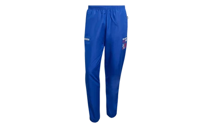 Мужские спортивные брюки Adidas USA 94 KC5449, синие