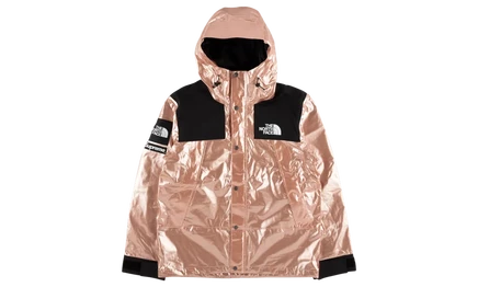 Парка Supreme TNF Metallic Mountain