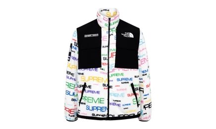Куртка Supreme TNF Steep Tech Fleece FW 21