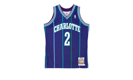 Мужская майка Mitchell & Ness Charlotte Hornets 94