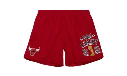 Шорты Mitchell & Ness Team Heritage NBA Bulls