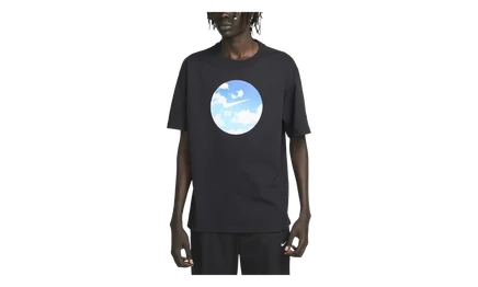 Футболка Nike Graphic Swoosh Max90 FD1251