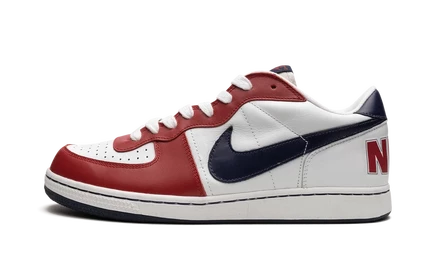 Кроссовки Nike Terminator Low Olympics, разноцветные