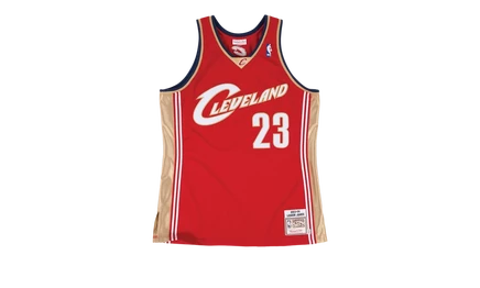 Мужское джерси Mitchell & Ness LeBron James 2003