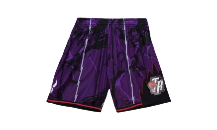 Мужские шорты Mitchell & Ness Swingman, Toronto Raptors 1998