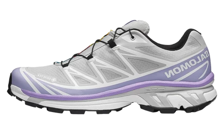 Мужские кроссовки Salomon XT-6 Gore-Tex, серо-фиолетовые