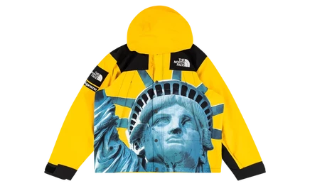 Куртка Supreme TNF Mountain Jacket «Statue of Liberty»
